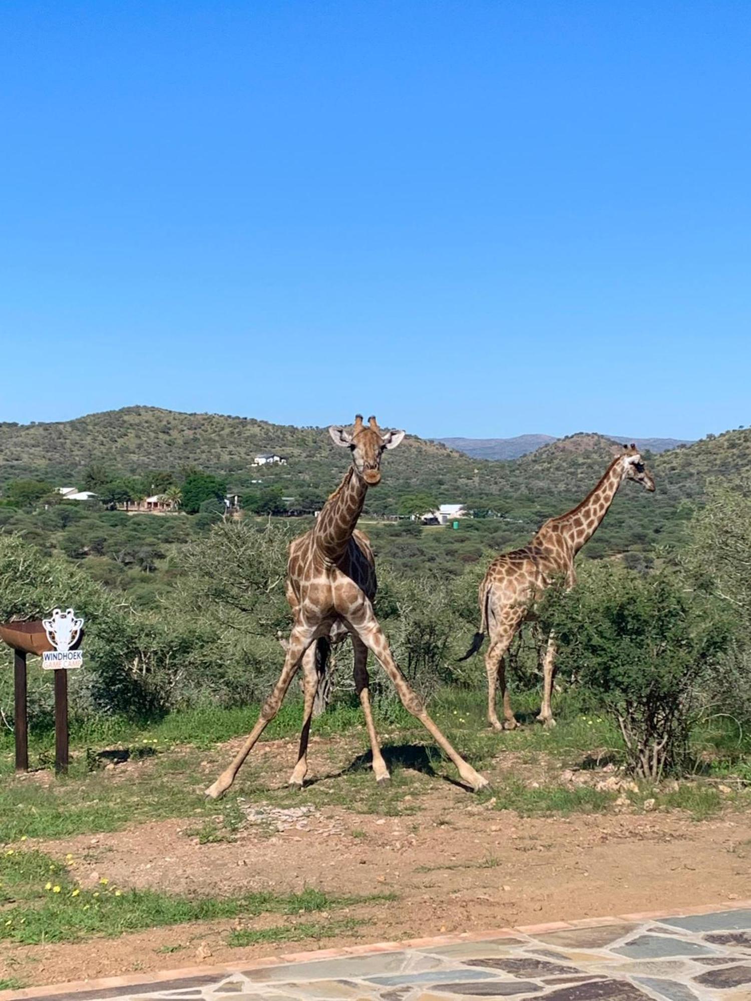 Windhoek Game Camp Lafrenz Township Exterior foto